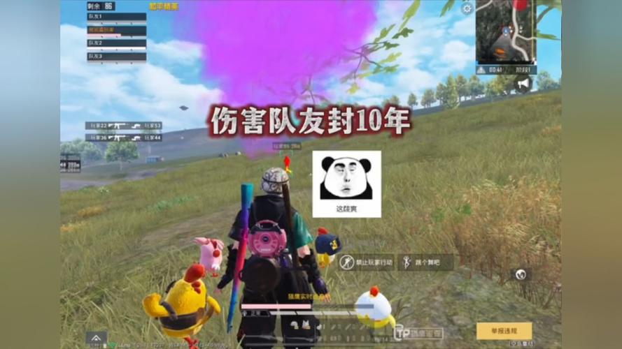 使用和平精英辅助封号吗？