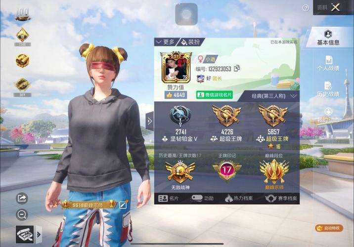 和平精英辅助【保时捷直装V6.5稳定版】无后防抖 全屏自瞄 范围伤害 子弹追踪 空投透视